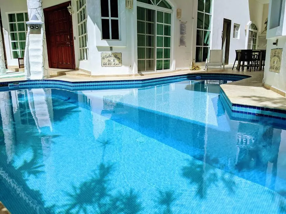 18Br Up To 50Guest Castillos Playacar Walk To Beach And 5Th Ave 1000Mbps Playa del Carmen Nyaraló