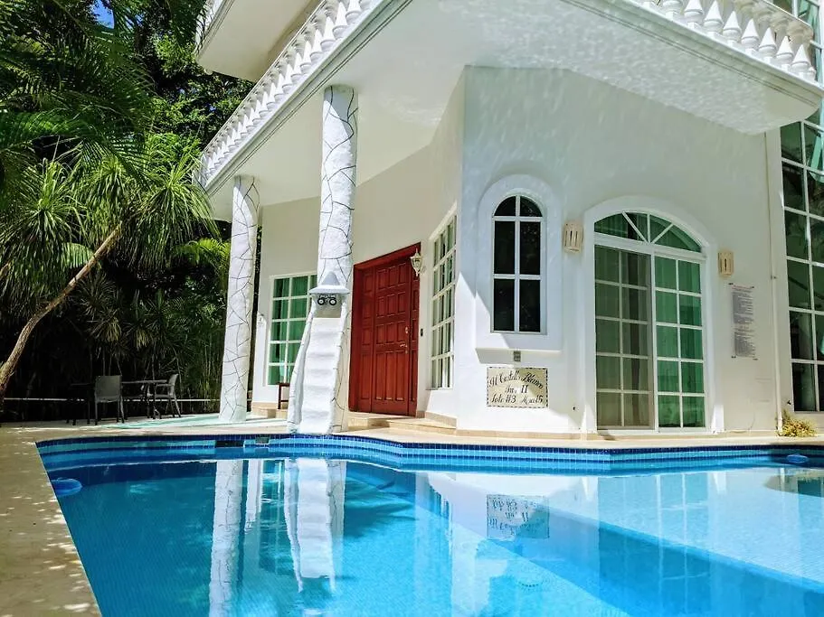 פלאייה דל כרמן 18Br Up To 50Guest Castillos Playacar Walk To Beach And 5Th Ave 1000Mbps מקסיקו