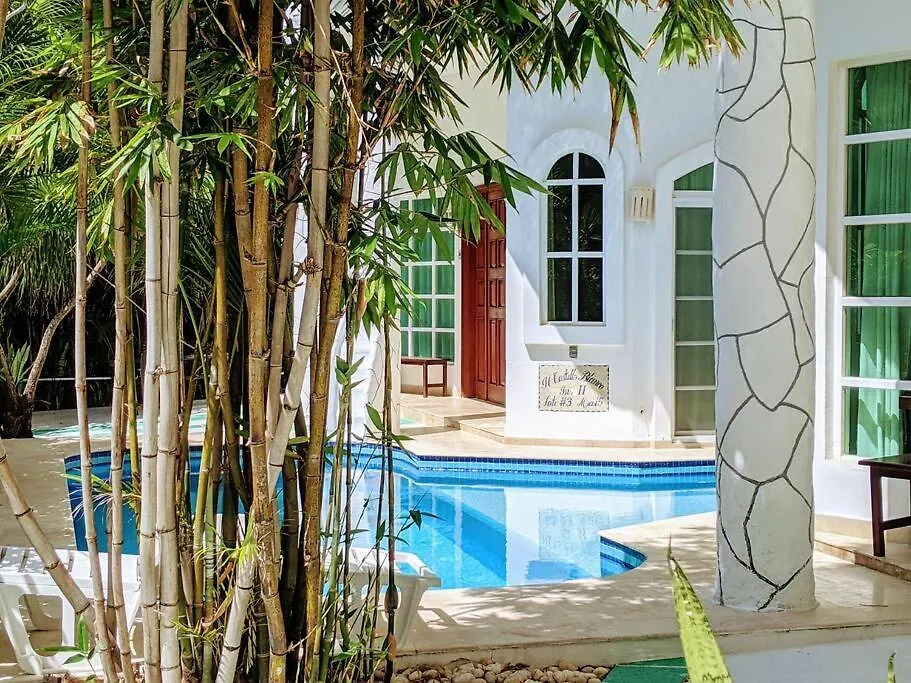 פלאייה דל כרמן 18Br Up To 50Guest Castillos Playacar Walk To Beach And 5Th Ave 1000Mbps 0*, פלאייה דל כרמן